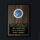 Medal Best Marine - Camnats-2014, USA, Ice of Greenland-4